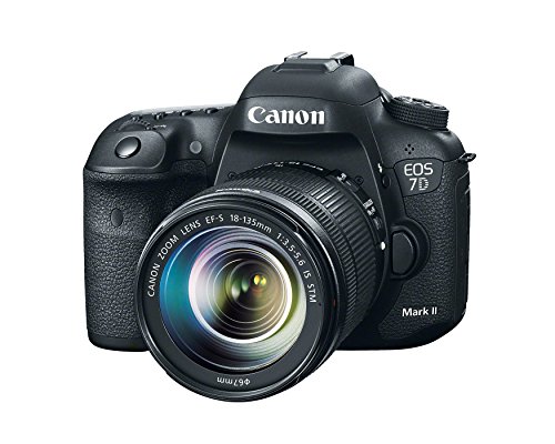 Canon EOS 7d Mark II + EF-S 18 – 135 mm SLR Camera Kit 20.2 MP CMOS 5472 x 3648pixels Black – Digital Cameras (20.2 MP, 5472 x 3648 Pixels, CMOS, Full HD, 910 g, Black) – Image 3