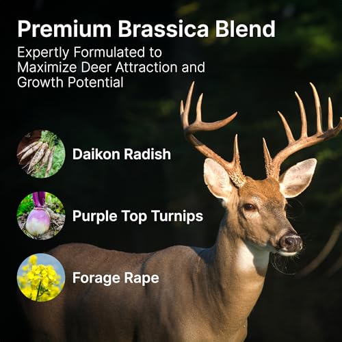Brassica Blend For Deer