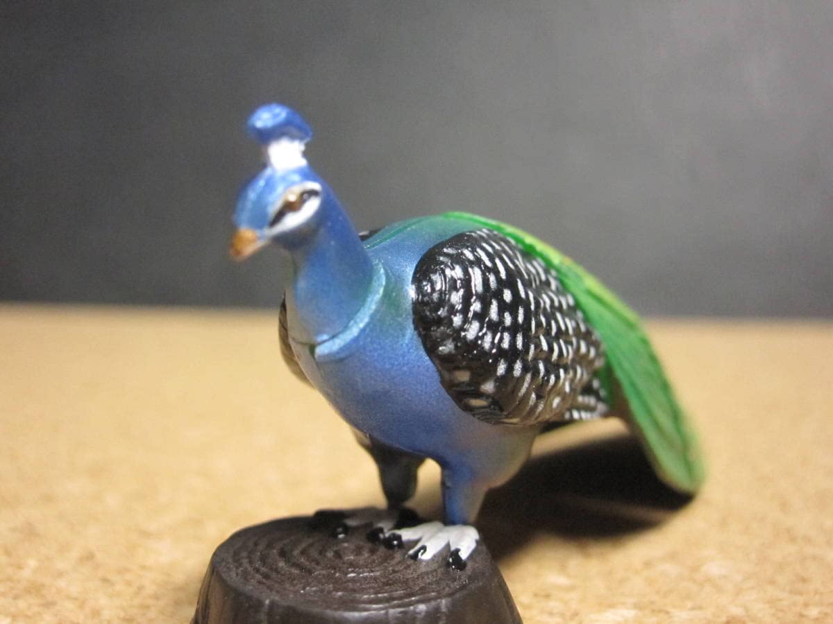 Amazon.co.jp: ☆インドクジャク：ミニフィギュア☆フルタ製菓