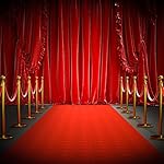 Red Carpet Runner 2.6 x 15 ft Carpet Aisle Runner Rug 55gsm Thickness with 4 Pieces Red Velvet Stanchion Rope Crowd Control Rope Barrier with Gold Color Plated Hooks, 5 Feet - Image 2