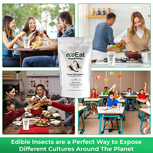 Edible Armor Tail Scorpions by ecoEat - Edible Insects Bugs Snack Gift - Image 4