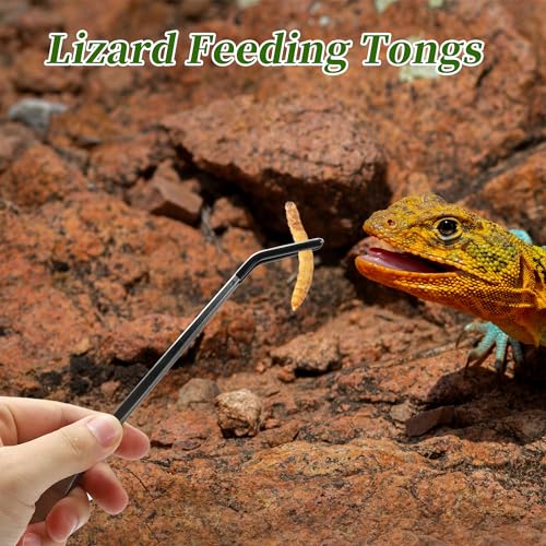 Image of Reptile Feeding Tongs, Stainless Steel Lizard Feeding Tongs, Aquarium Curved Feeding Tweezers for Reptiles with Rubber Tip, Terrarium Feeding Tongs 10.63 inch L, Black Silver Tone