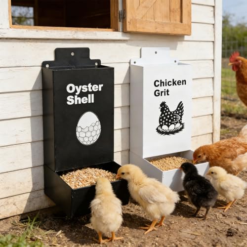 Mangeoires en métal pour poules et oiseaux 2,6 L avec base stable