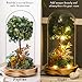 Preserved Flower Glass Dome with LED Lights, Handmade Hydrangea Tree and Eternal Rose Arrangement on Wood Base, for All Festivals,for You to Send Love for All Occasions(Dark Green)