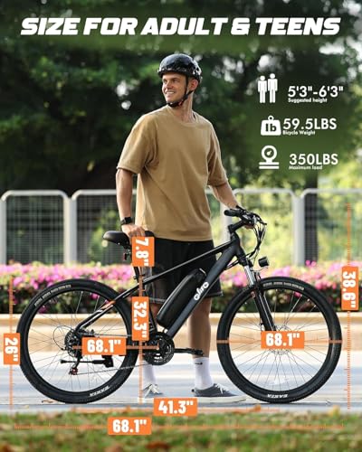 Qlife Racer 21-Speed Ebike