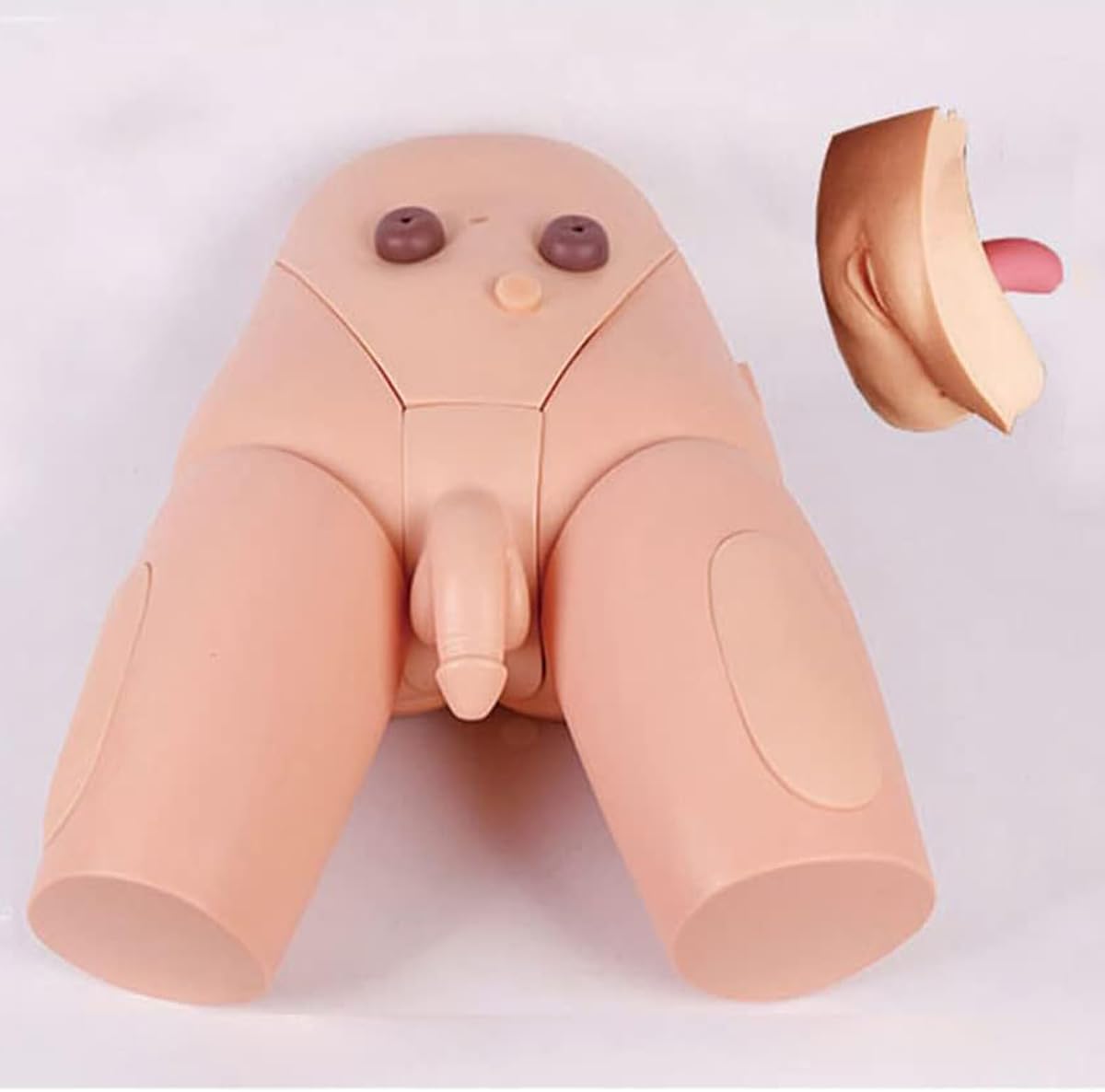 Modèle De Cathétérisme Humain Homme Femme Pratique du Cathétérisme Interchangeable Lavement Enseignement Opération Infirmière Pratique du Cathétérisme Moule Formation Au Cathétérisme