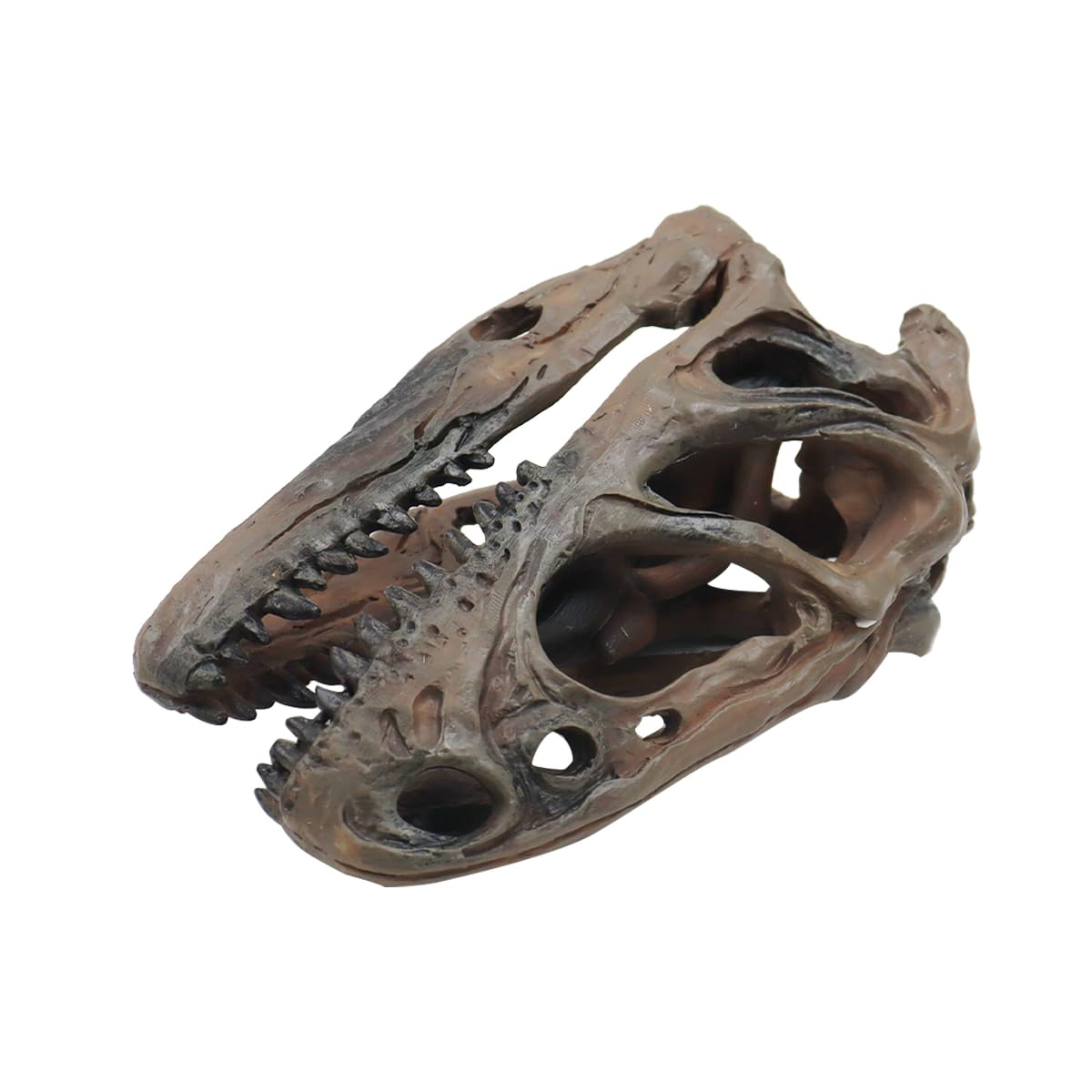 Ludom Crâne de Tyrannosaure en résine - Crâne de dinosaure pour cachette de poisson - Aquarium - Terrarium - Accessoires photo - Outil éducatif - Décoration d'intérieur