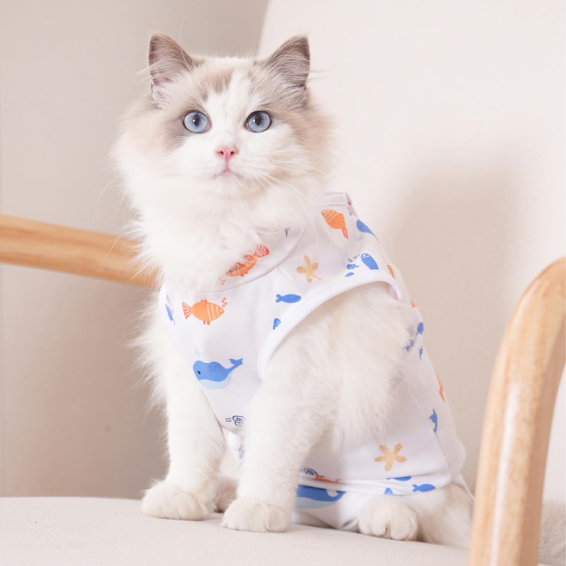 Body Chat Post Operatoire Femelle/Male, pour après Stérilisation, Combinaison Chat, Convient aux chats dont le tour de poitrine est 36 cm, la longueur du dos 31 cm et poids 4 à 7 kg (taille L).