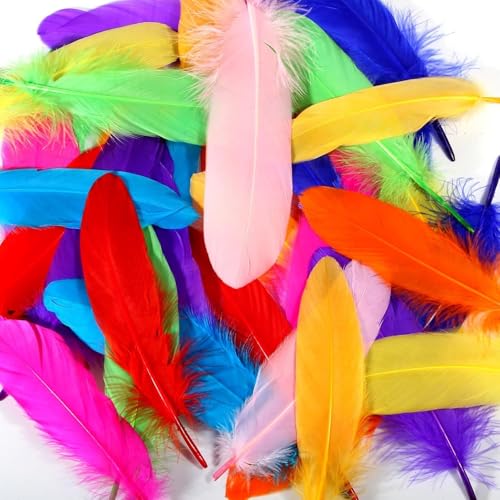 Image of Tdas 50+ Pcs Natural Dyed Goose Feathers for Craft 6-8 inches Arts Fluffy Dream Catcher Making kit for Decoration Projects Earrings Colourful for Kids Handmade Wedding Home (Multicolor)