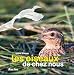 Les oiseaux de chez nous - Nouvelle édition - Burnel, André