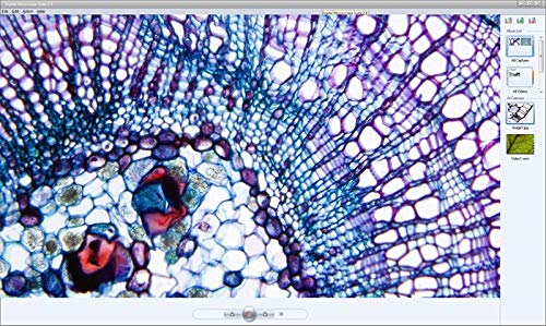 Celestron Digital Microscope Imager 44421,2 Mp,Black #TOP3