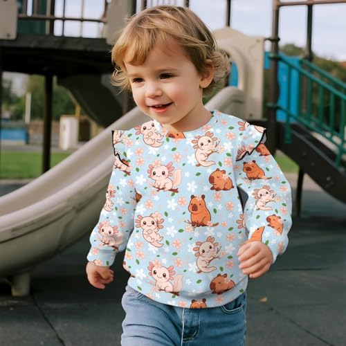 Little Girls Sweatshirts Size 1-8 Toddler Clothes Ruffle Shoulder Tops Graphic Tees4