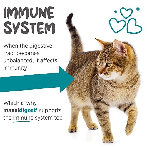 Maxxipaws Maxxidigest+ Digestive And Immune Support Supplement For Cats With Probiotics, Prebiotics And Digestive Enzymes – 7 Oz #TOP3
