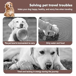 Travel dog bowls portable food and water bowl for dogs and cats 2 in 1 foldable feeding and food storage solution for small  medium dogs ideal for traveling  camping khaki small   cucciolini doodles