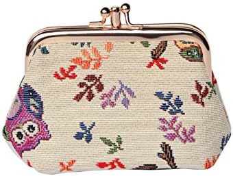 Signare Tapestry Double Pocket Change Pouch Kiss lock Coin Purse for Women With Owl Design (FRMP-OWL)