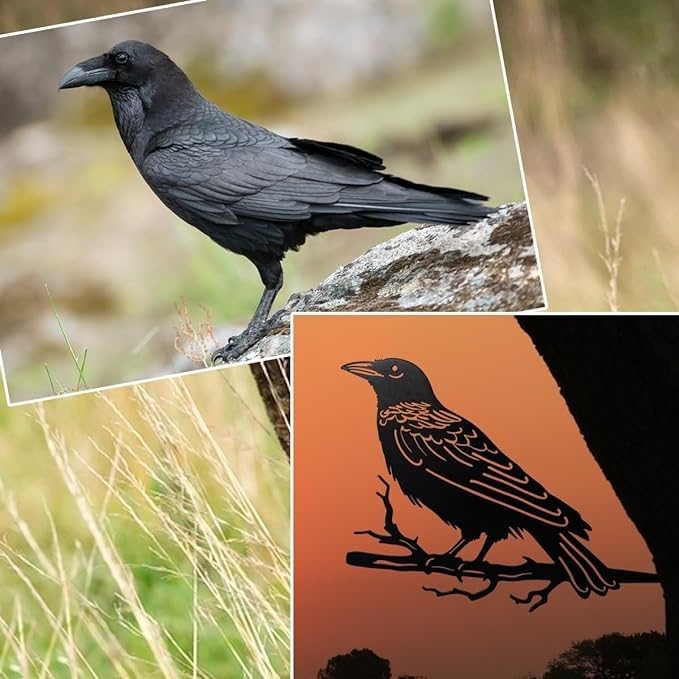 Image of BLIND SHOP Black Crows Halloween Decor, Garden & Patio Decor for Home Decor | Wall Sculpture Home Decoration | Wall Decor | Metal Wall Art | Home Wall Hangings Metal Decor (38X31X1.5 CM)