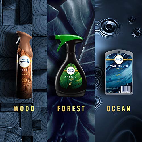 Image of Febreze Car Air Fresheners, Wood Scent, Odor Eliminator Vent Clips (2 Count)