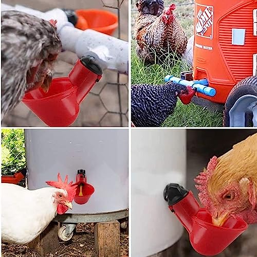 ROOBZE Abbeveratoio Automatico per Galline 10