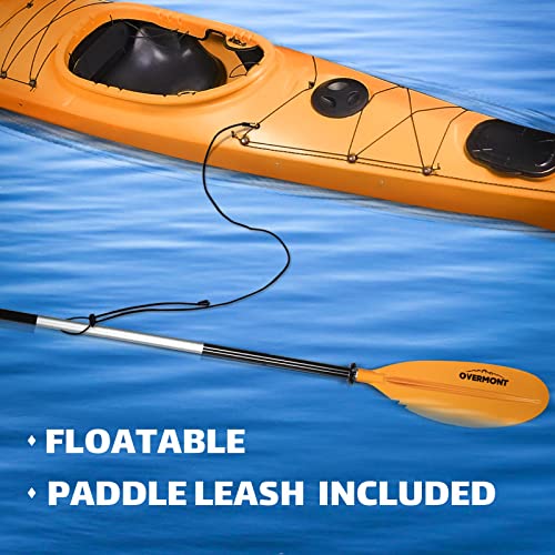 20 Best Kayak Paddles Of 2022(Reviews & Comparison) BDR