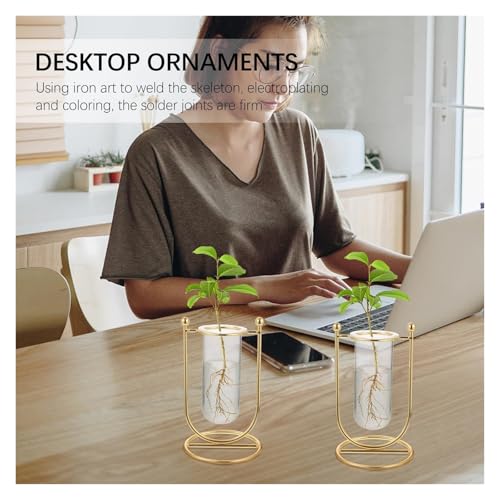 Florero hidropónico de cristal en U jarrón decorativo transparente 6