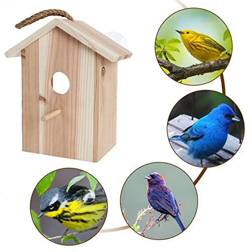 Janela Casa de Pássaros - Alimentadores de pássaros com ventosa forte e cordão para fora | Casa de p