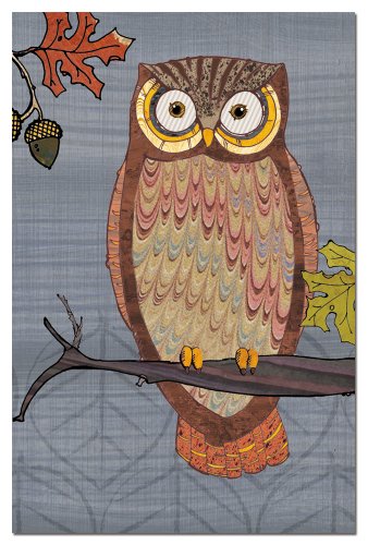 Tree-Free-Greetings-Eco-Notes-12-Count-Notecard-Set-with-Envelopes-4x6-Inches-Awesome-Owls-II-Themed-Paul-Brent-Art-66516