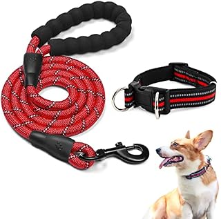 Adjustable Dog Collar and Lead Set 5FT/1.5M, Reflective Threads Dog Collar with Soft Neoprene Padded Handle Strong Durable Rope Breathable Pet Collar for Puppy Small Medium Large Dogs (S, Red)