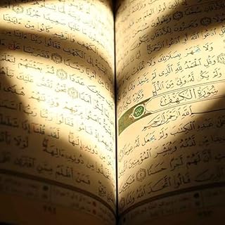 Kur'an Dinle, T&uuml;rk&ccedil;e A&ccedil;ıklamalı Meal Titelbild