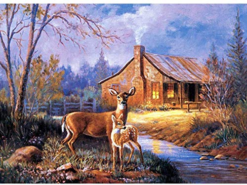 Image of HASTHIP DIY 5D Diamond Painting Kit by Numbers, Full Diamond Crystal Embroidery,Embroidery Cross Stitch Pictures,Decoration Art Crafts for Home(30 * 40CM)