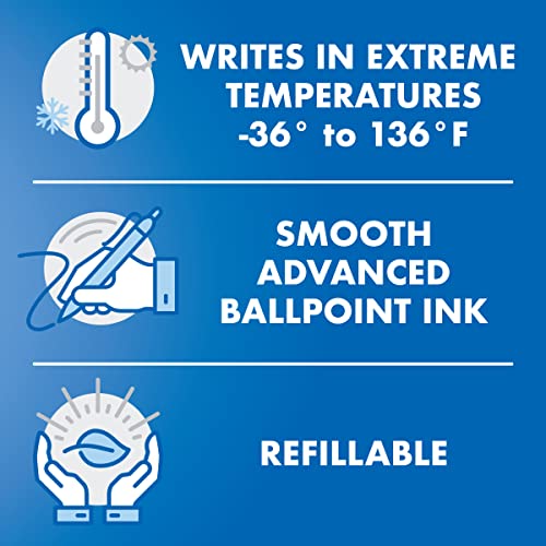 Pilot Acroball 1000 Ultra-Premium Refillable & Retractable Ball Point Pen, Gray Barrel, Fine Point, Black Ink, Single Pen (13659) #TOP2