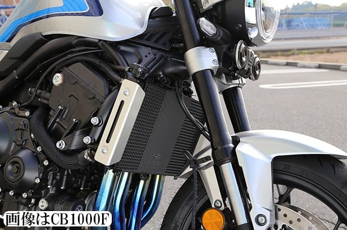 アールズギア│コアガード｜CB1000F/SE｜CB1000 HORNET/SP Amazon | アールズギア(R's Gear) ラジエターコアガード スモールロゴ