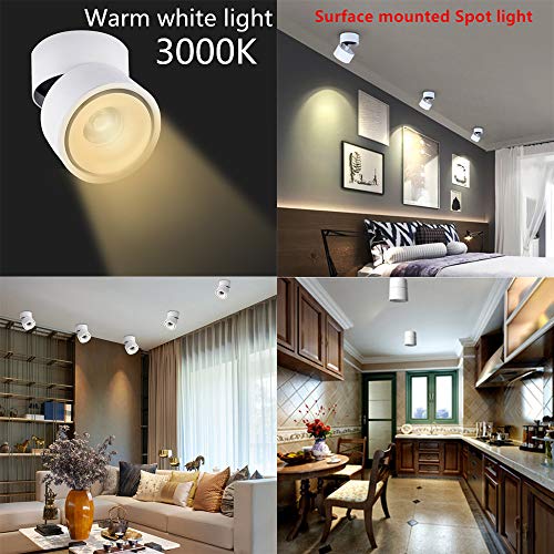 Image of LED Ceiling Spotlight-Indoor 360Adjustable Surface Mounted 10W COB Ceiling Downlight-Wall Lamp for Picture Background Wall Display Lighting(White,3000K Warm Light)