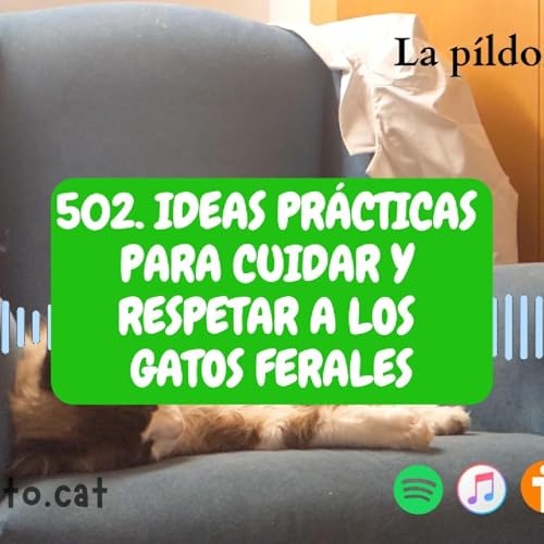 502. Ideas prácticas para cuidar y respetar a los gatos ferales cover art
