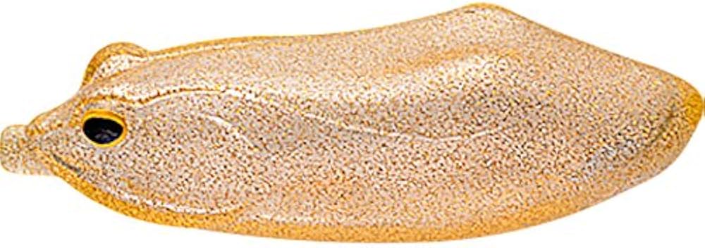 Amazon.co.jp: バレーヒル(ValleyHill) フロッグ ウィップラッシュ