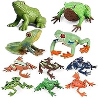 Amazon | EUHELOPA カエル フィギュア 森の妖精 ツリーフロッグ 両生綱