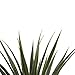 Nearly Natural 4' Spiked Agave Plant, Green