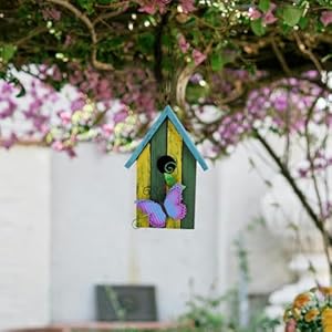 Bird House for Outside Hanging Rustic Wood Bird House Outdoor Garden Patio Hand Painted Decorative Birdhouse for Finch Bluebirds Sparrows Chickadees Cardinal (Butterfly) Bird House for Outside Hanging Rustic Wood Bird House Outdoor Garden Patio Hand Painted Decorative Birdhouse for Finch Bluebirds Sparrows Chickadees Cardinal Butterfly