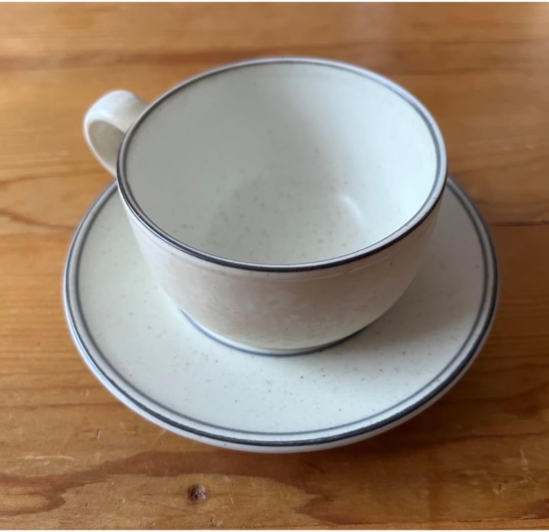 カップアンドソーサー stiglindbergCup & Saucer”Rod aster” designed
