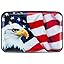 Bald Eagle on American Flag