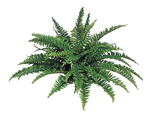 Larksilk Boston Fern Artificial Plants, UV Resistant, Fake Silk Outdoor or Indoor House Plant 33\" Inch Diameter 50 Fronds
