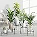 CADANI 5 Pack Metal Plant Stands for Outdoor Indoor, Anti-Rust Iron Flower Pot Stand, Heavy Duty Plant Pot Stand for Multiple Plant, Decoration Racks for Home, Patio & Garden