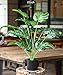 Toopify Fake Plants Large, Artificial Floor Plants Tall for Home Office Living Room Decor Indoor