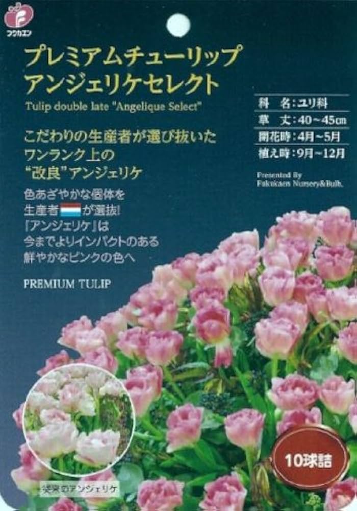 Amazon | チューリップ球根 アンジェリケセレクト(10球入り)×2袋