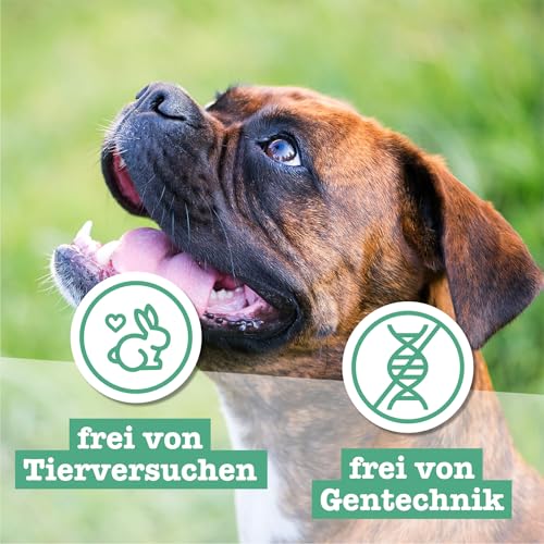 Chewies Hundeleckerli Training Mini Pansen Knöchelchen - 125 g - Hundesnacks zuckerfrei & mit hohem Fleischanteil - ideal als Trainings-Leckerli für Ihren Hund
