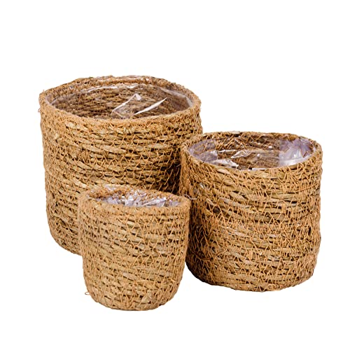 Korb 3er Set Seegras Mini Übertopf Sukkulenten Pflanzkübel Kakteen Pflanztopf Rund Blumentopf Pflanze Aufbewahrungskorb Sukkulententopf Blumenübertopf Kaktus geflochten (Natural) Cover