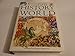 The Kingfisher Illustrated History of the World: 40,000 B.C. to Present Day