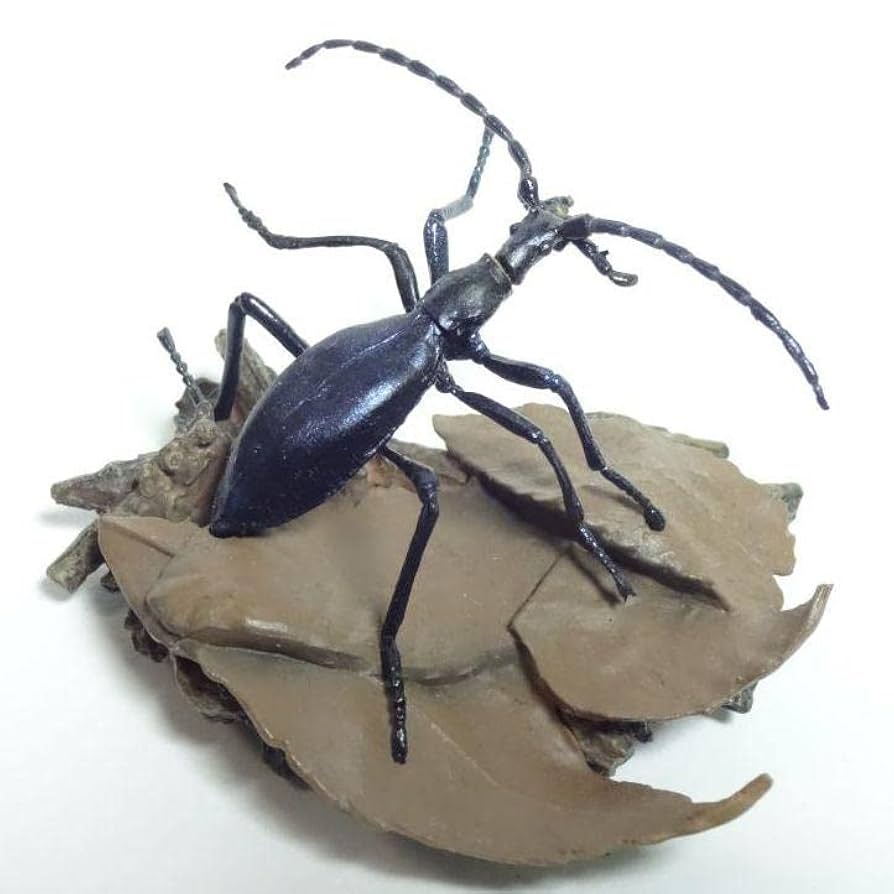 Amazon.co.jp: ユージン 原色日本昆虫図鑑 Ⅰ シークレット