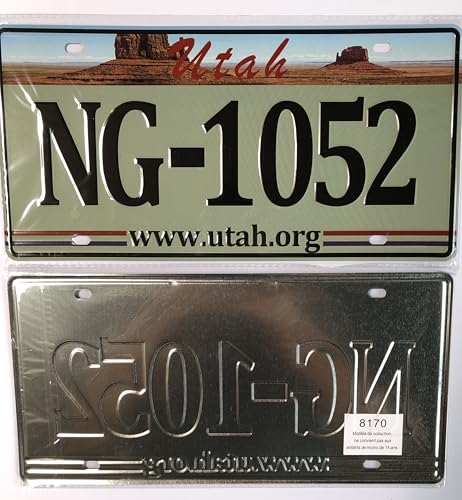 - Satz mit 10 amerikanischen Autokennzeichen aus Metall - Repliken echter US-Kennzeichen - V1C