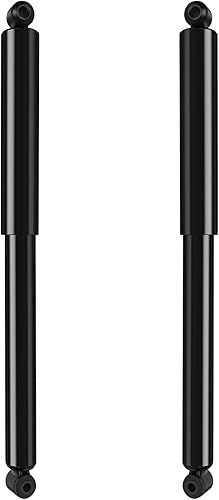 SCITOO - Amortiguador trasero para Ford se adapta a 1990 1991 1992 1993 1994 1995 1996 para Ford para amortiguadores F-150 344079 Struts - Juego de