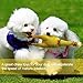 Novelty Place Squawking Chicken Dog Toys - Large 16” - Yellow Rubber Squeeze Squeaky and Screaming Chicken for Pets or Kids